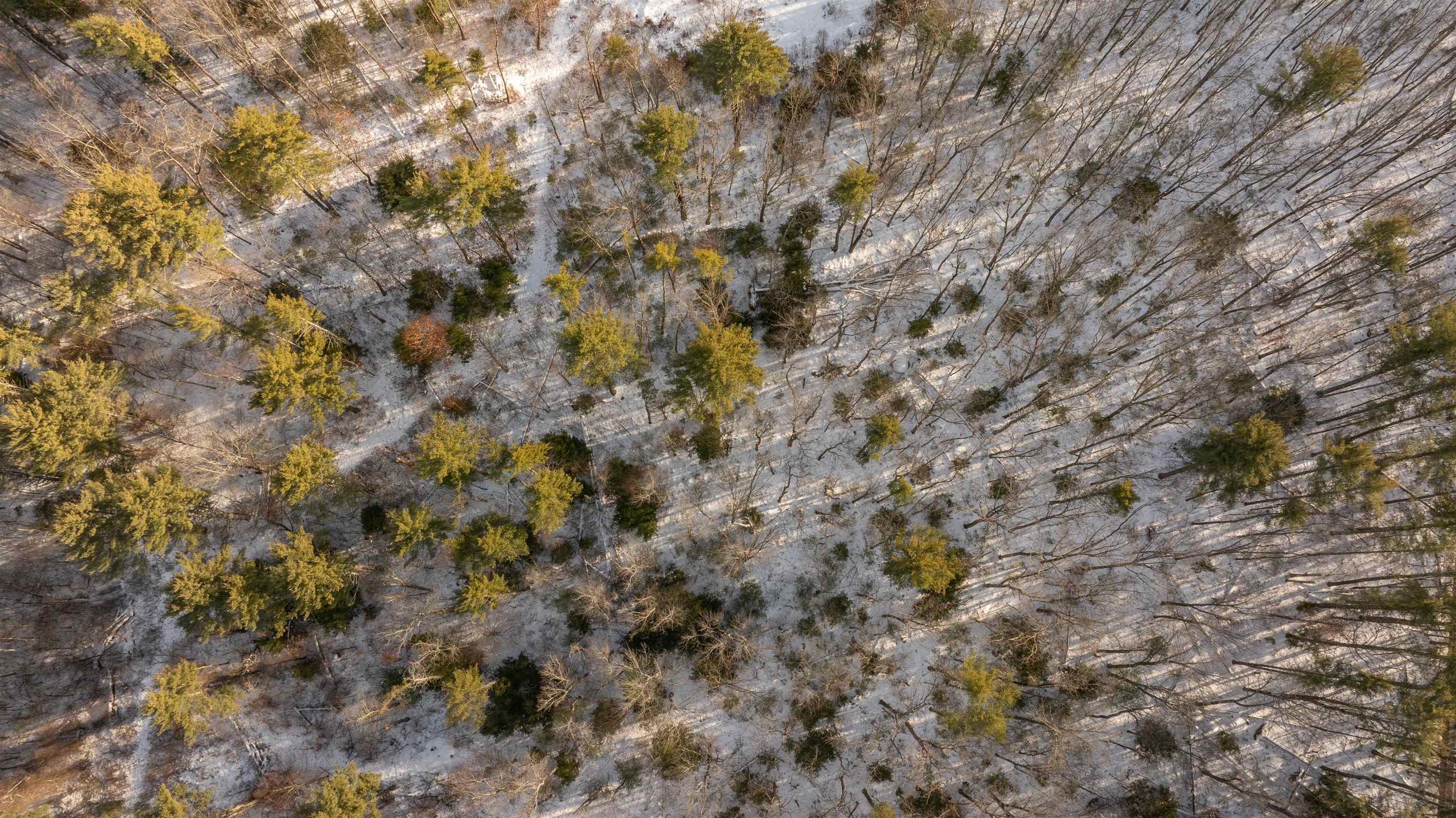 Lot 56-3 Chester Road