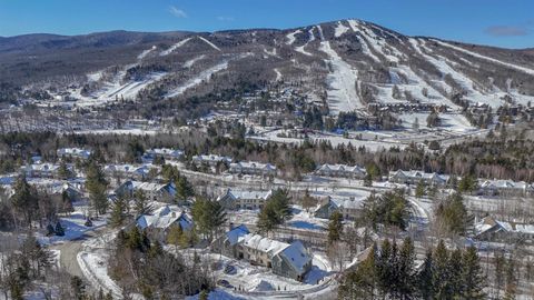 49C Greensprings Road Dover VT 05356