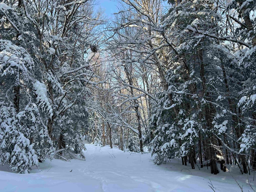 Photo of 242 Noyes Road, Stewartstown, NH 03576 (MLS # 5073071)