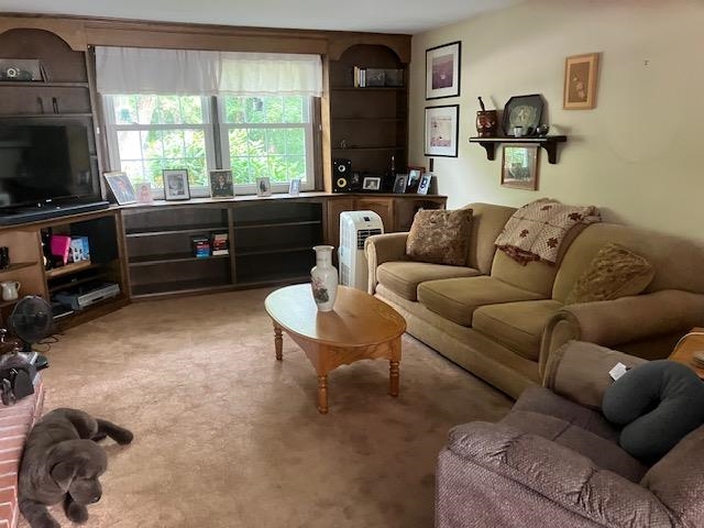 18 Vieckis Drive