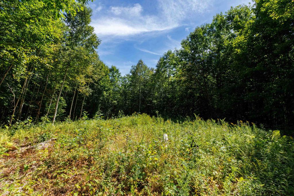 Photo of 14 Summit Drive, Franconia, NH 03580 (MLS # 5057571)