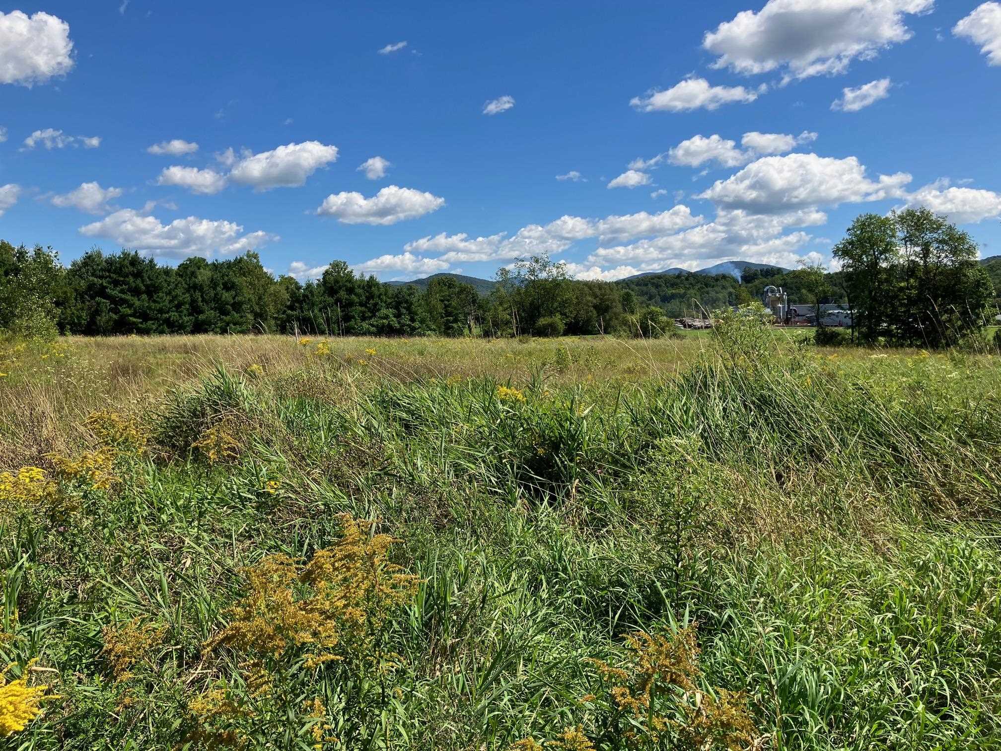311, Lot 6 Main Street Lot 6
