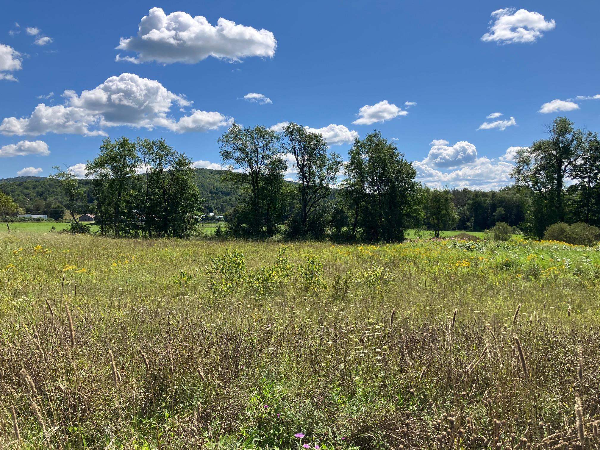 311, Lot 6 Main Street Lot 6