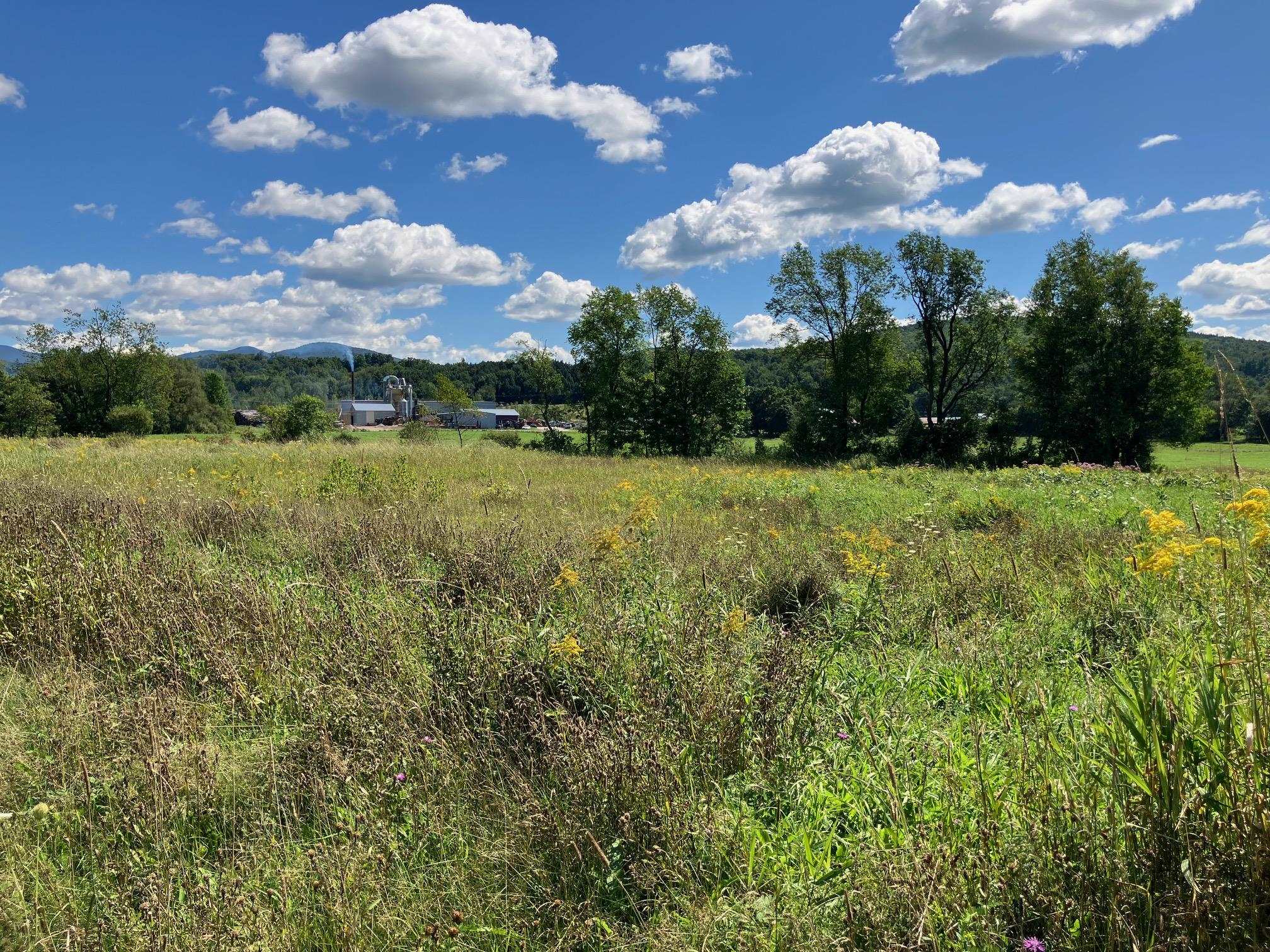 311, Lot 6 Main Street Lot 6
