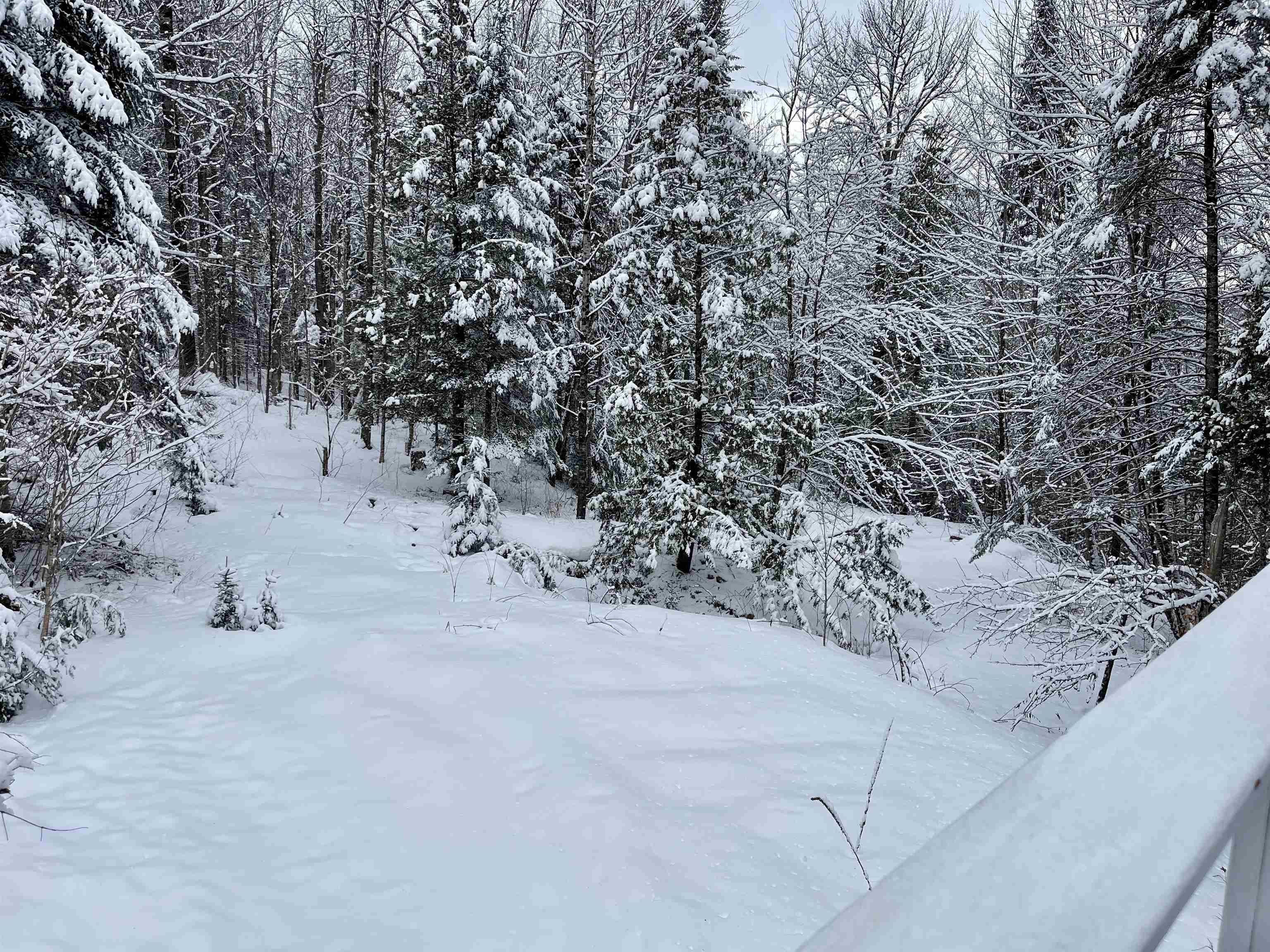 378 Lost Nation Road