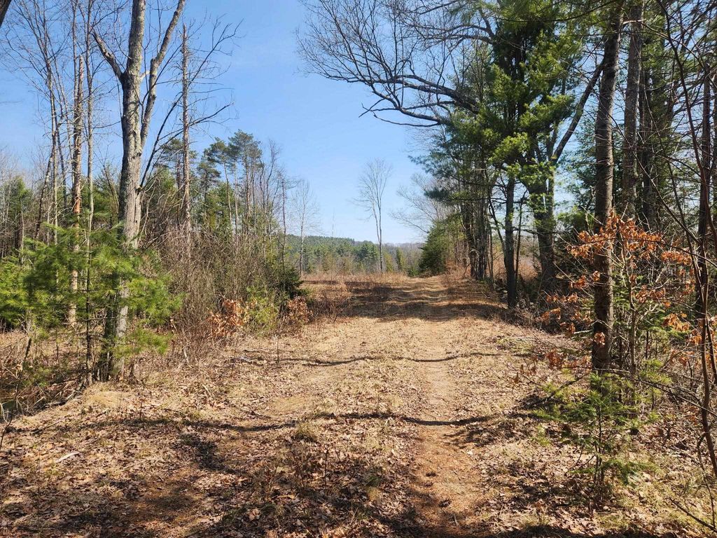 Photo of 455394 Maple Street, Hopkinton, NH 03229 (MLS # 5083072)