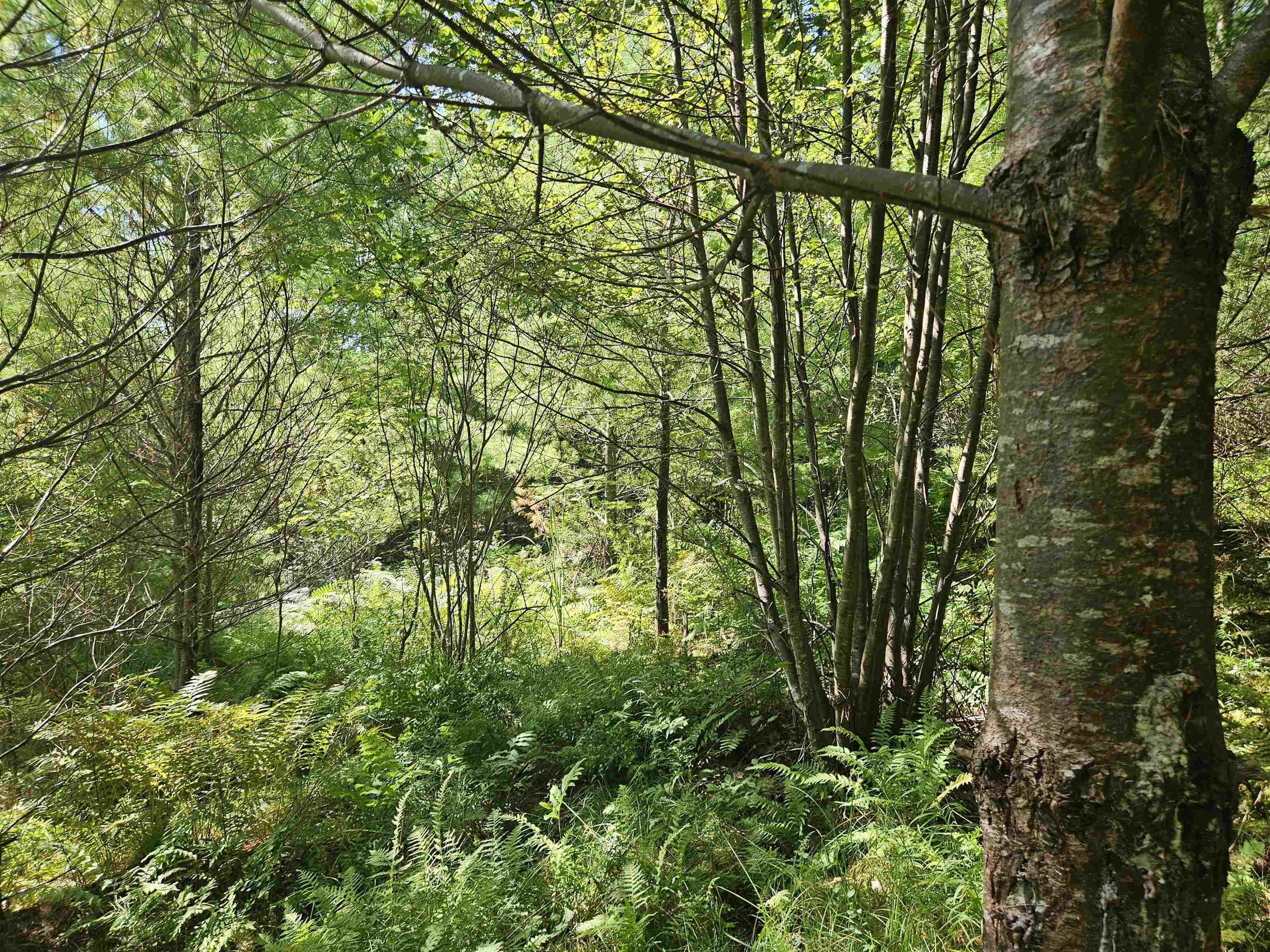 Lot 3.2 Off Parker Road