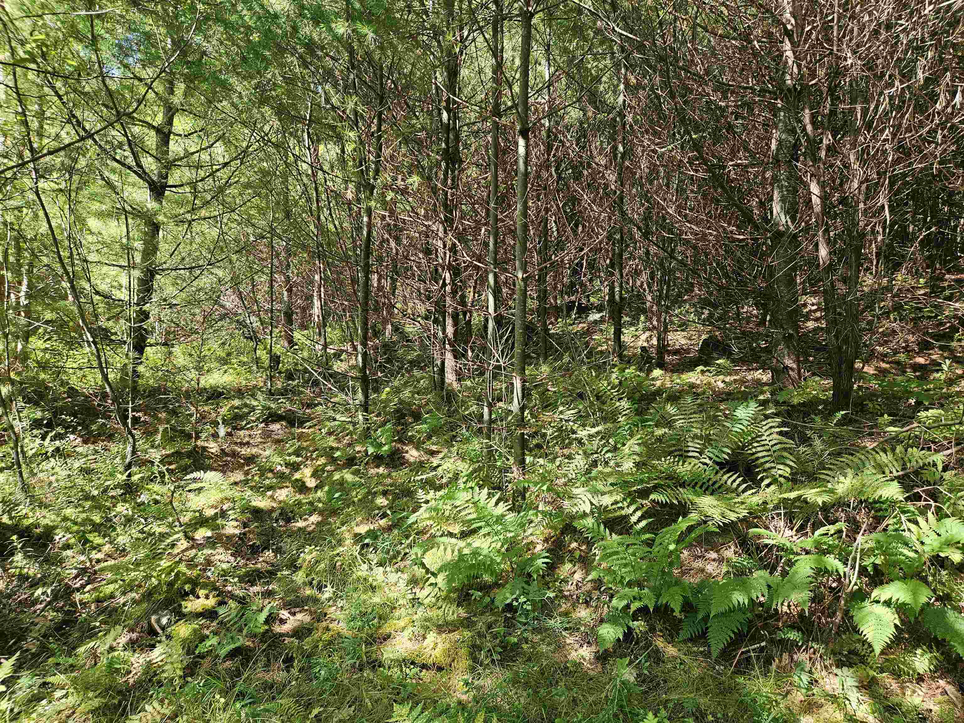 Lot 3.2 Off Parker Road