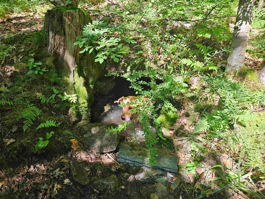 Photo of 32 Off Parker Road, Lisbon, NH 03585 (MLS # 5078579)