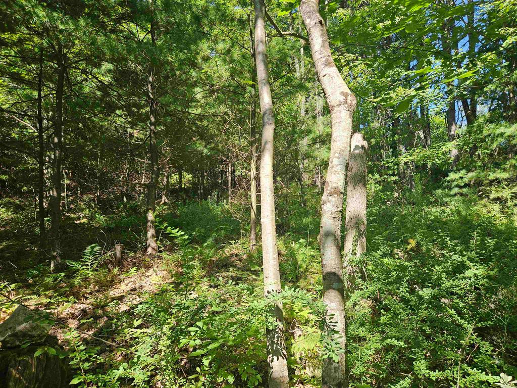 Photo of 32 Off Parker Road, Lisbon, NH 03585 (MLS # 5078579)