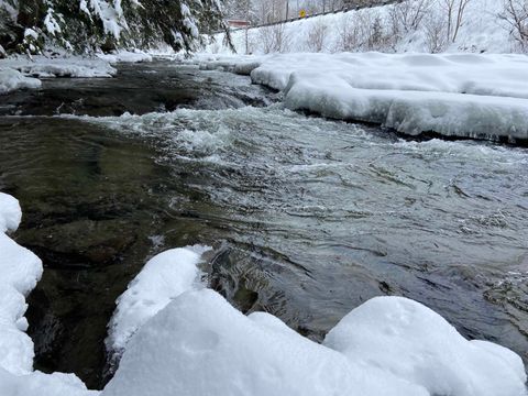 0 Fall Brook Road #5 Wheelock VT 05851