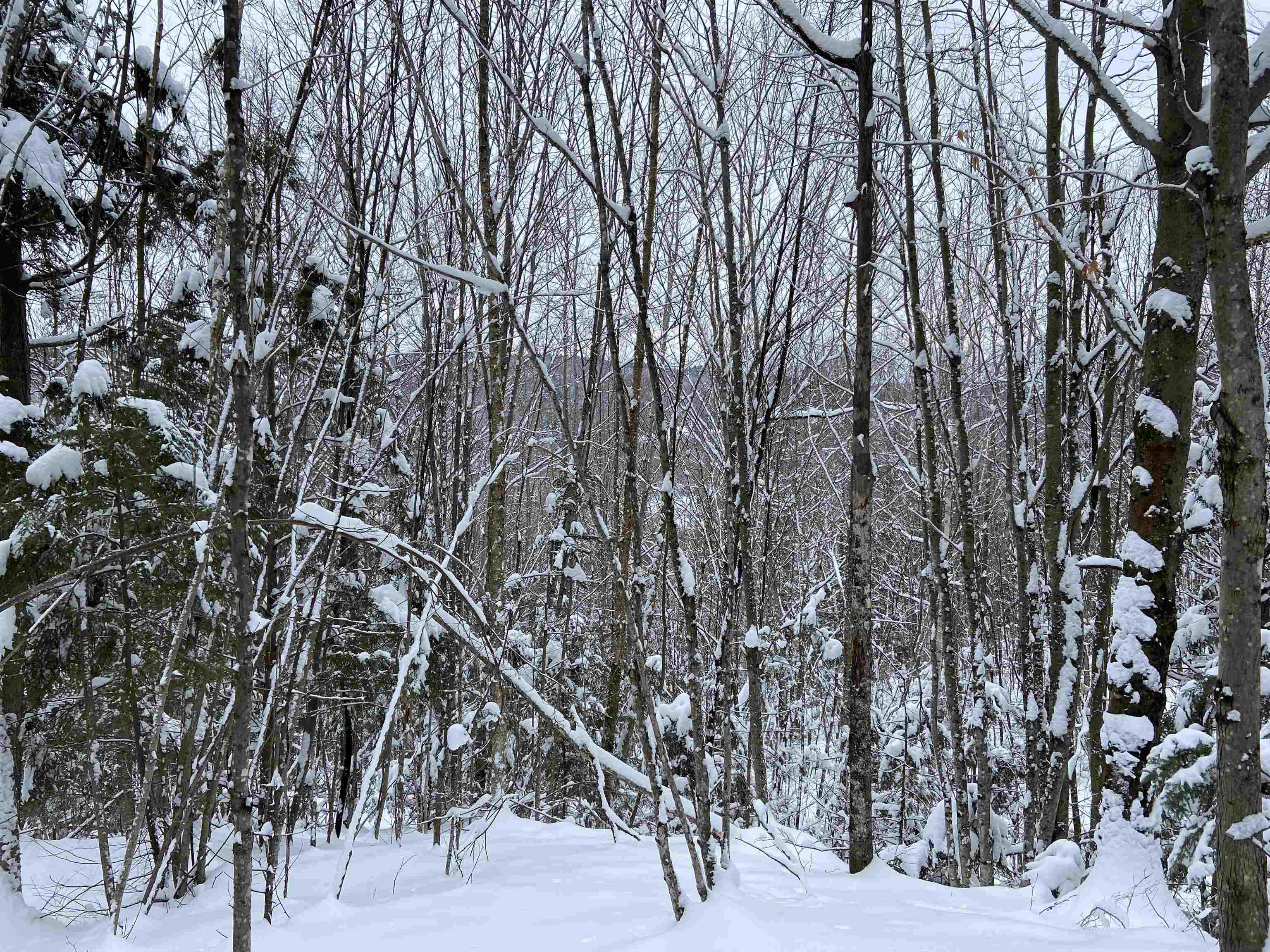 0 Fall Brook Road #5