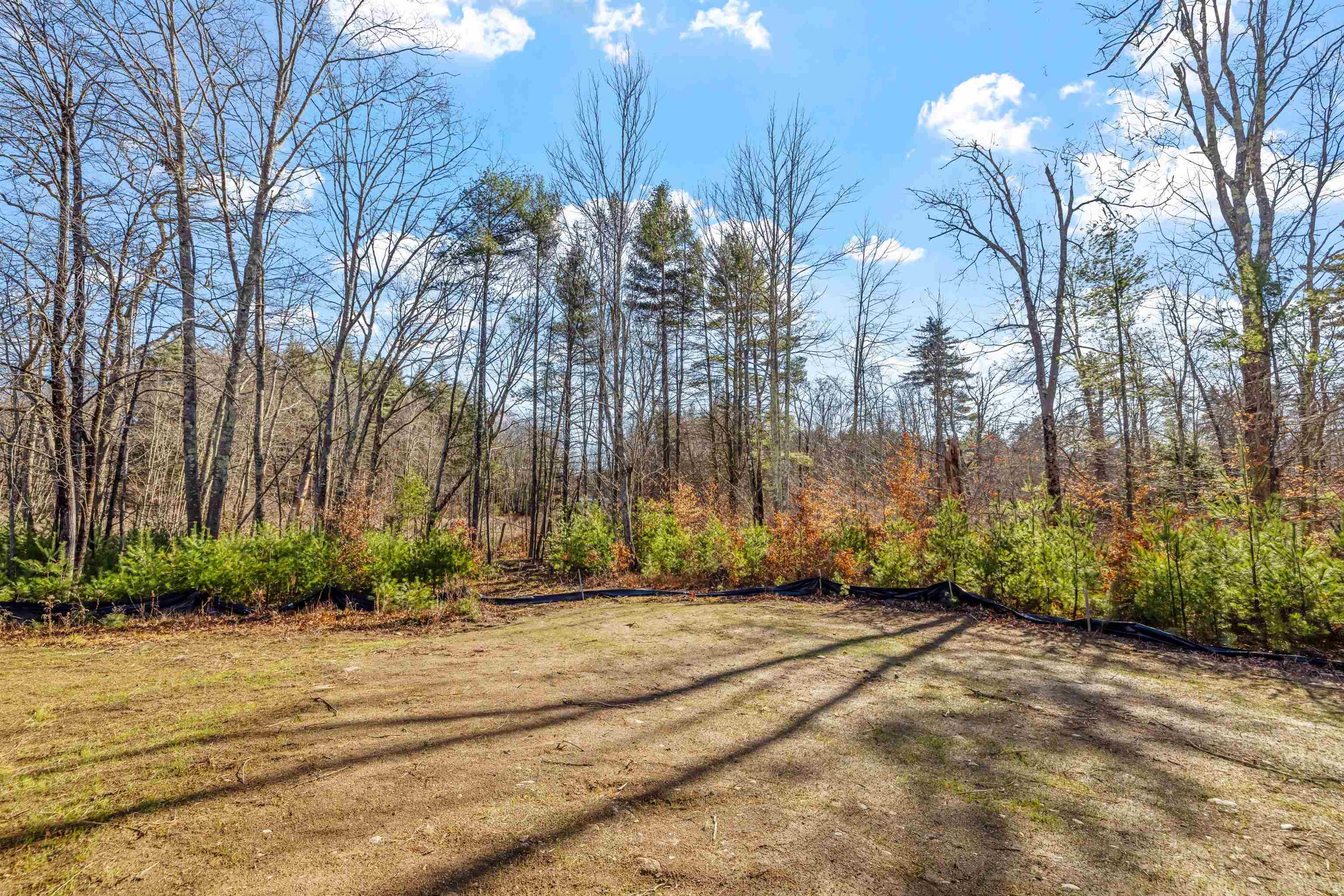 Chichester, New Hampshire 03258, United States, 3 Bedrooms Bedrooms, ,2 BathroomsBathrooms,Residential,Active,29946