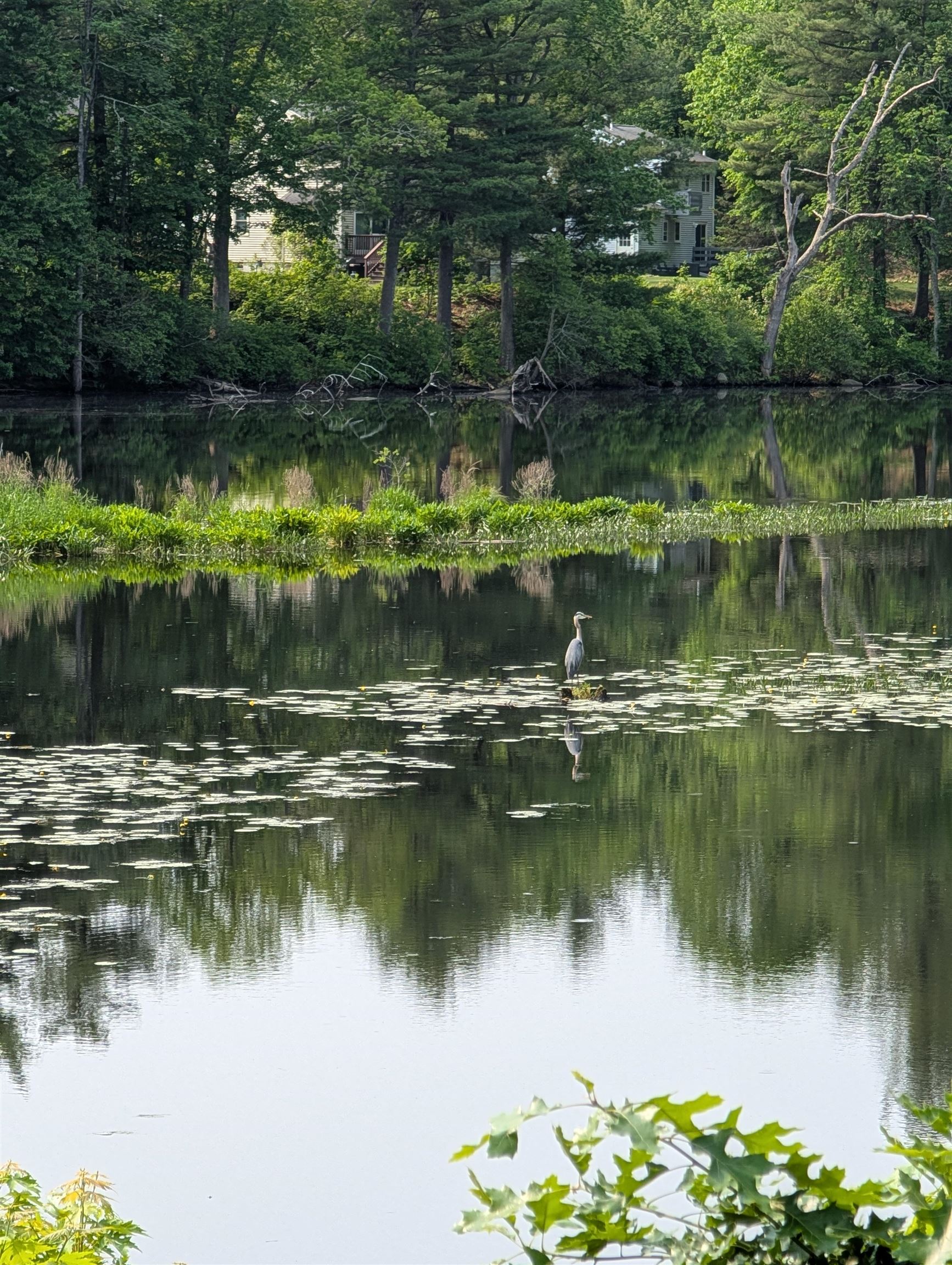 Nashua, New Hampshire 03060, United States, 3 Bedrooms Bedrooms, ,1 BathroomBathrooms,Residential,Active,146479