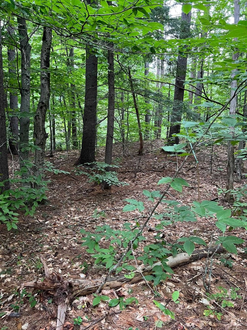 Photo of 14 Little Loop Road #B218, Madison, NH 03849 (MLS # 5085314)