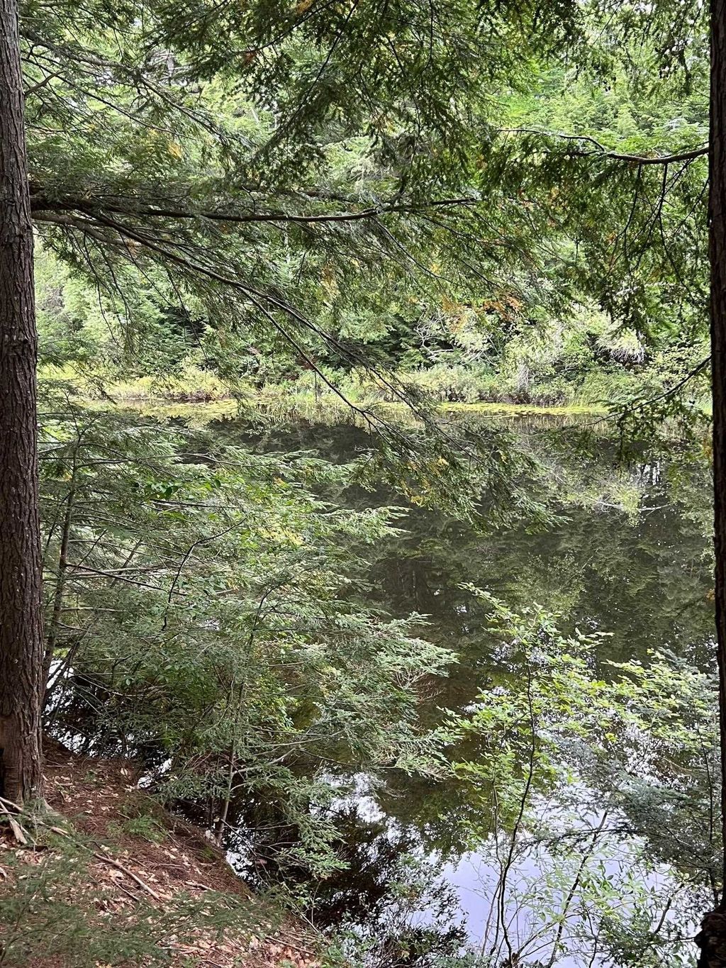 Photo of 14 Little Loop Road #B218, Madison, NH 03849 (MLS # 5085314)