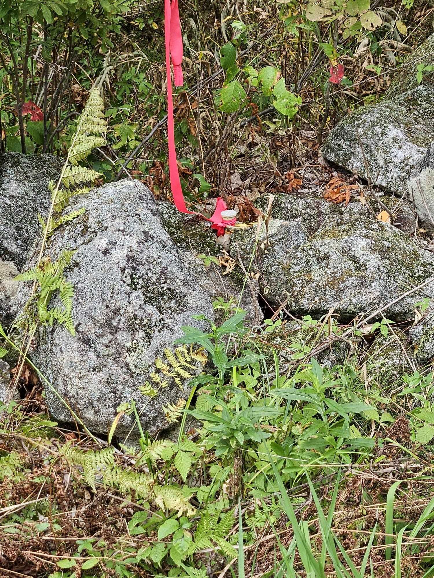 284 Ossipee Mountain Road