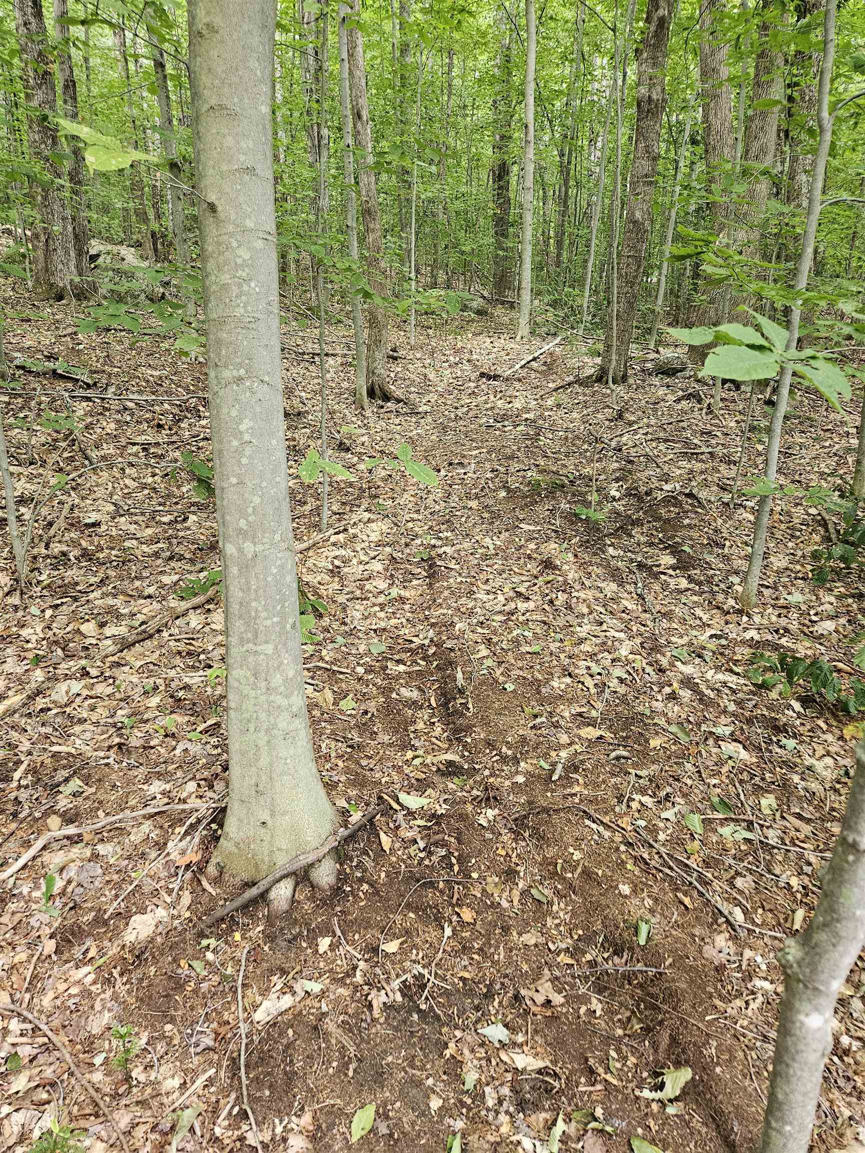 284 Ossipee Mountain Road