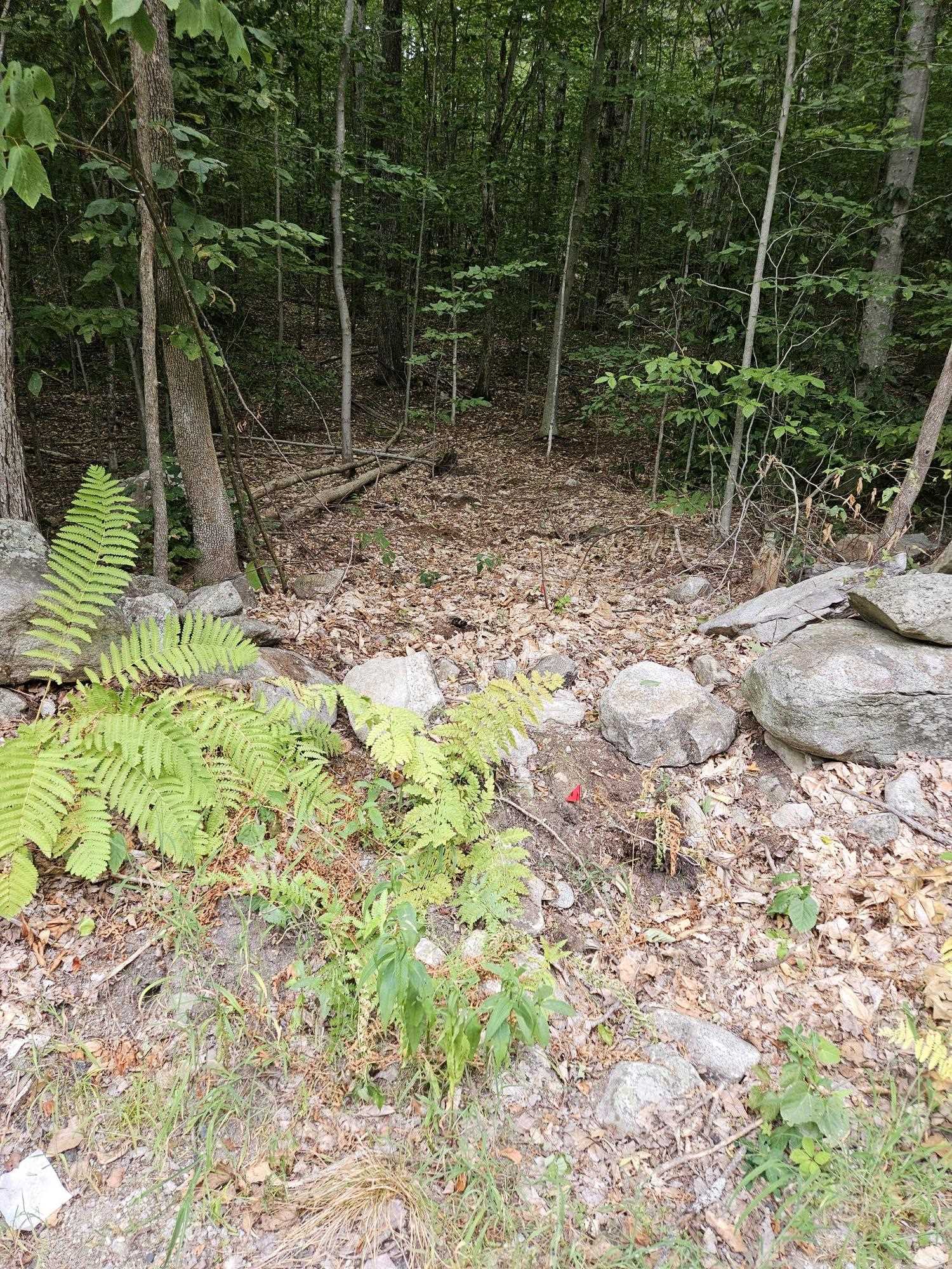 284 Ossipee Mountain Road