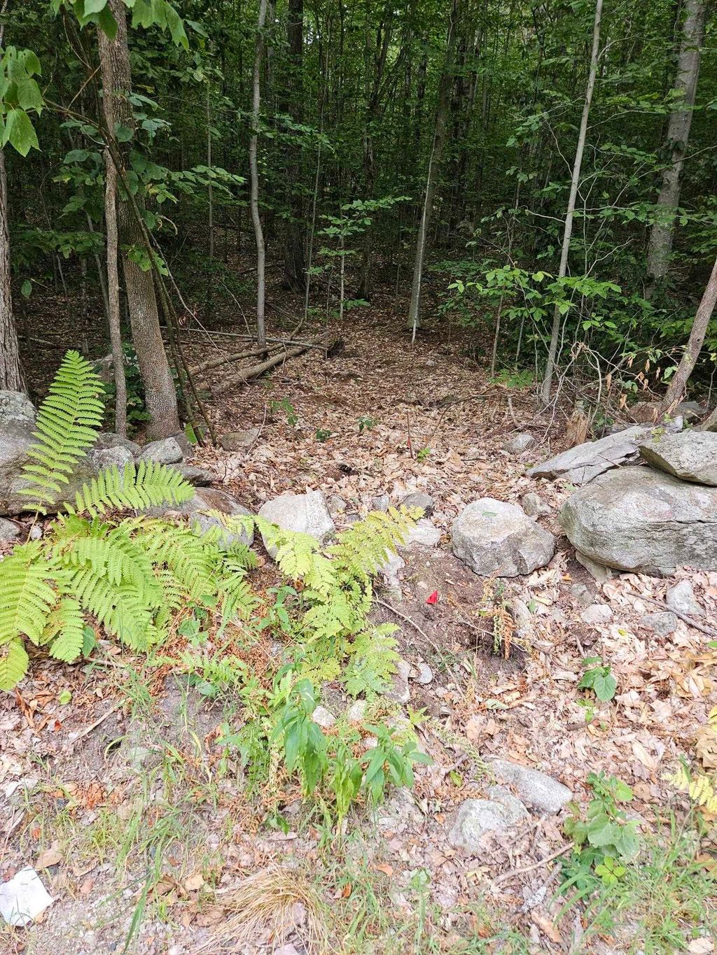 Photo of 284 Ossipee Mountain Road, Moultonborough, NH 03254 (MLS # 5058781)