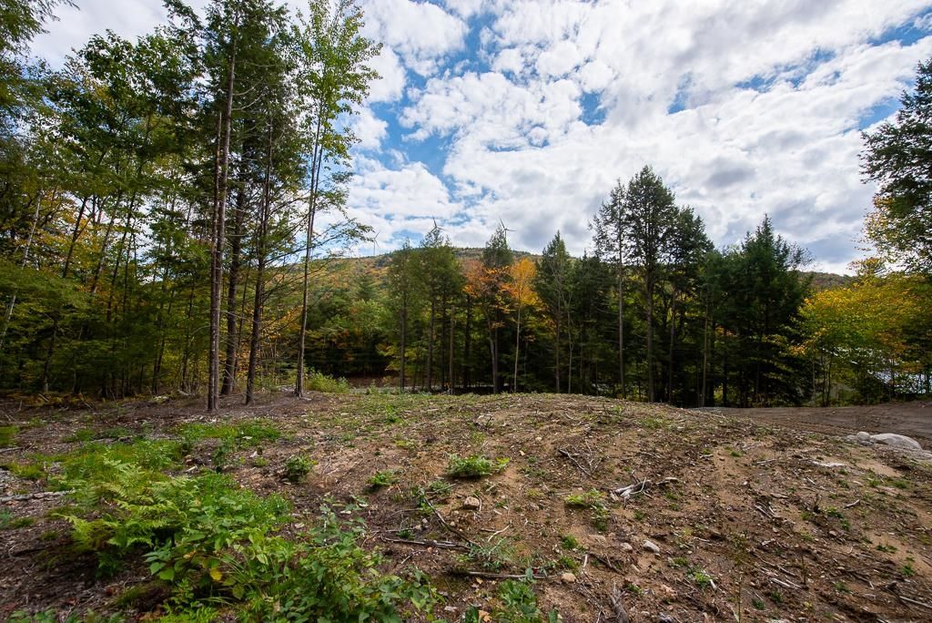 Photo of 15121004 Jacob Hall Farm Road #1, Rumney, NH 03266 (MLS # 5078032)