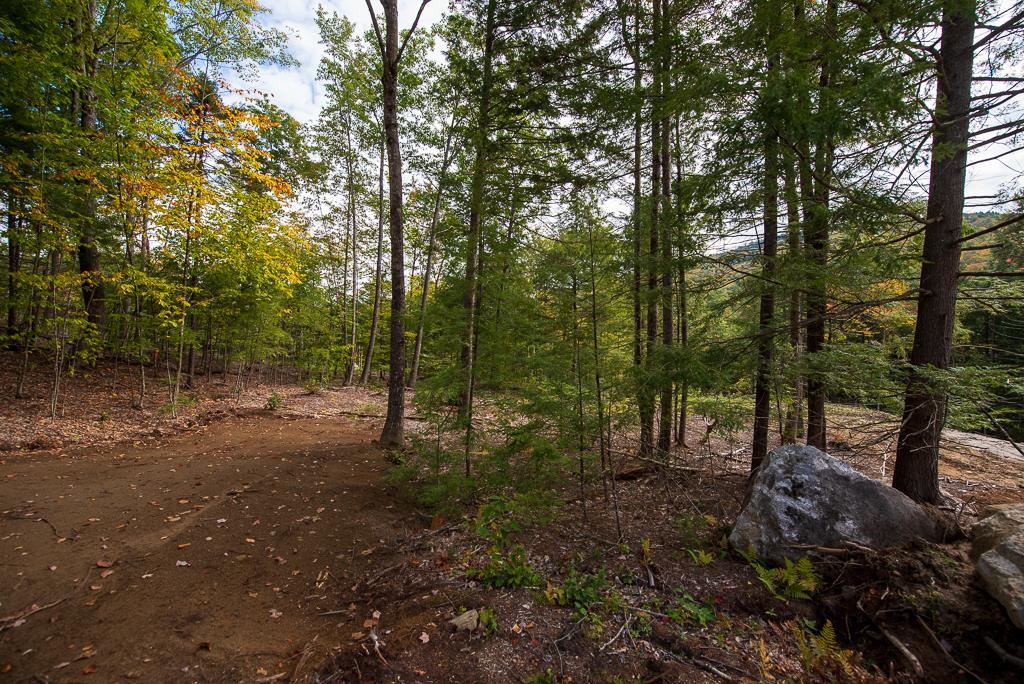 15-12-10-04 Jacob Hall Farm Road 1