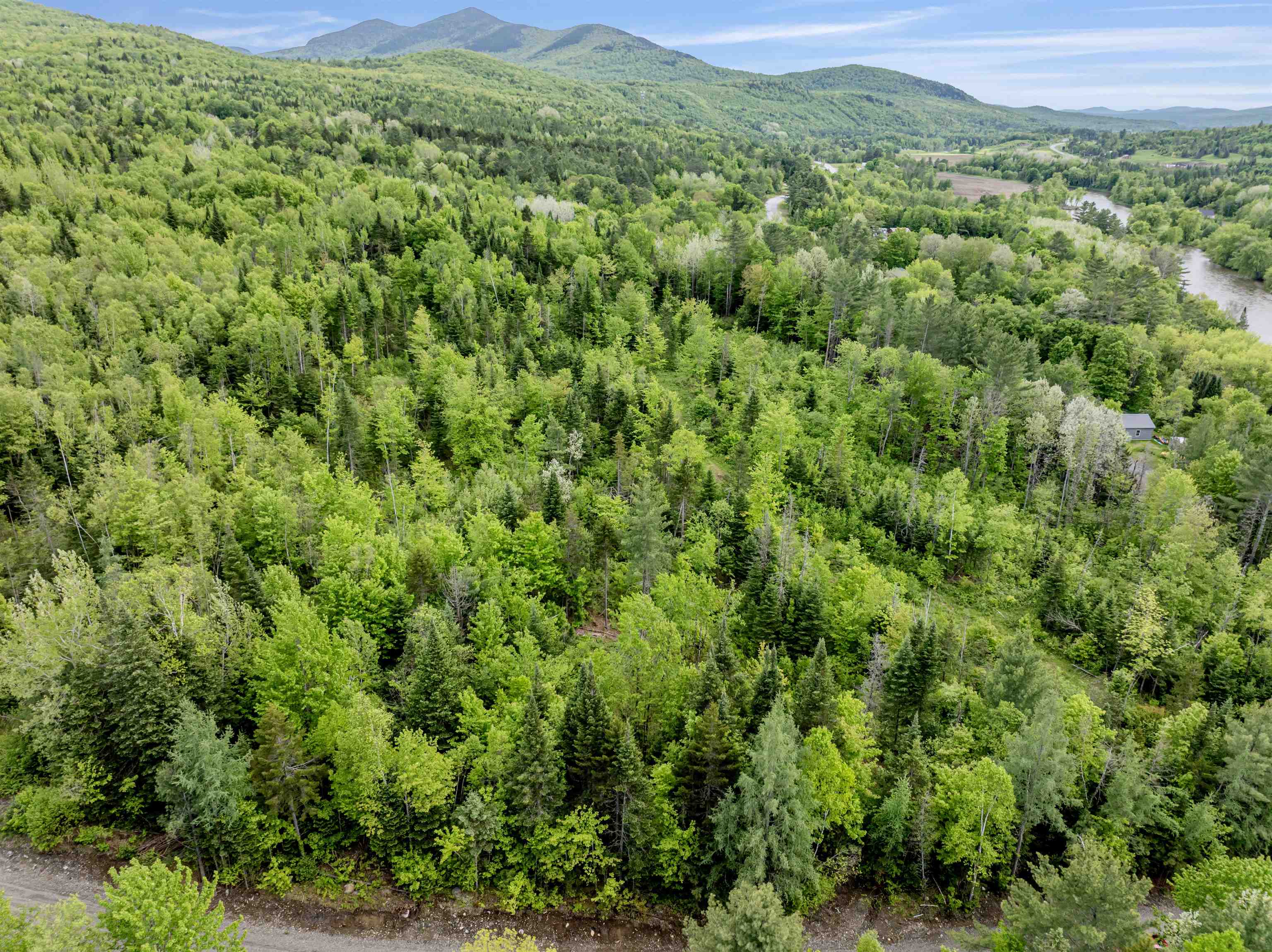 Lot 5 Off US Route 3