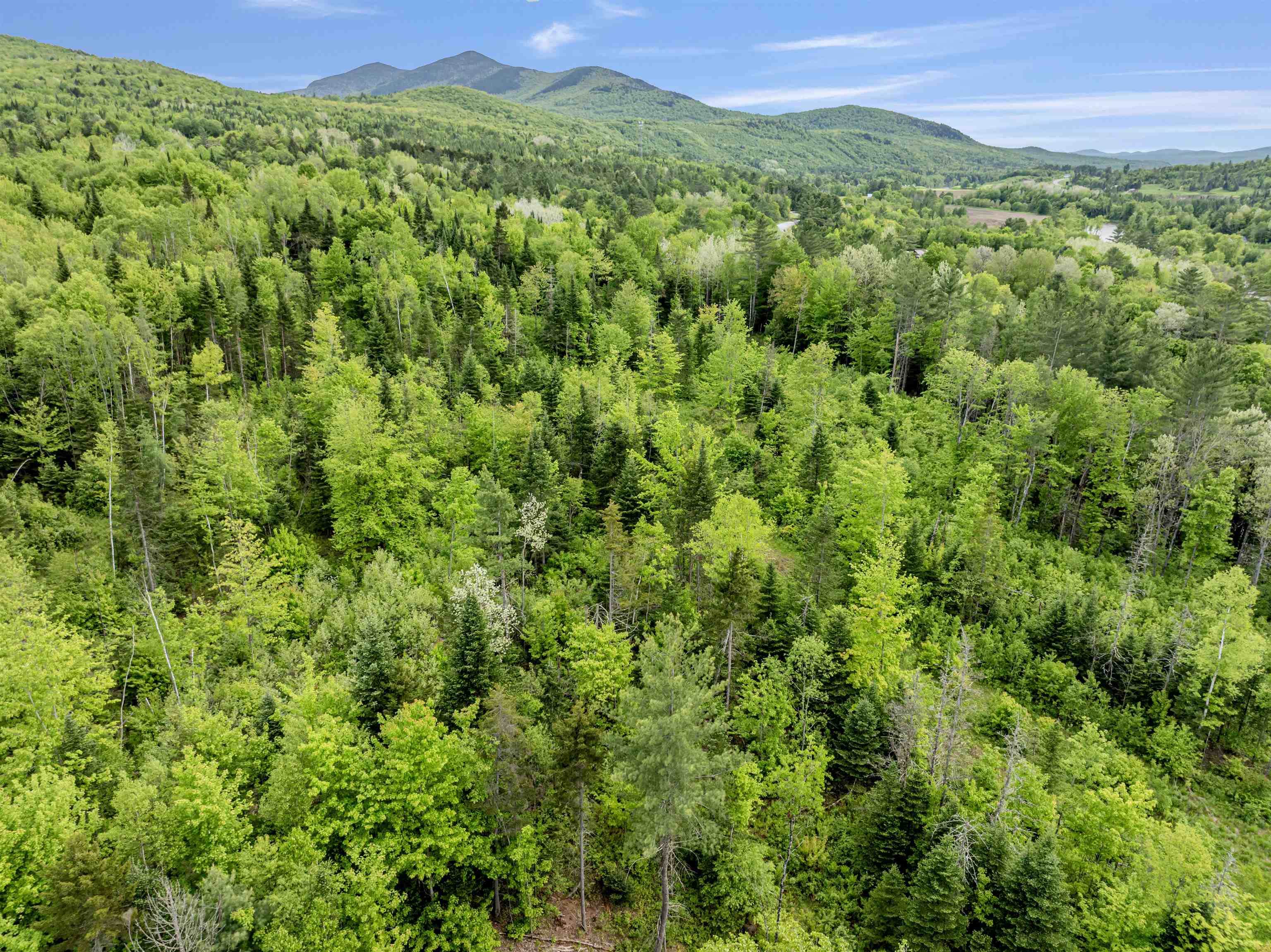 Lot 5 Off US Route 3