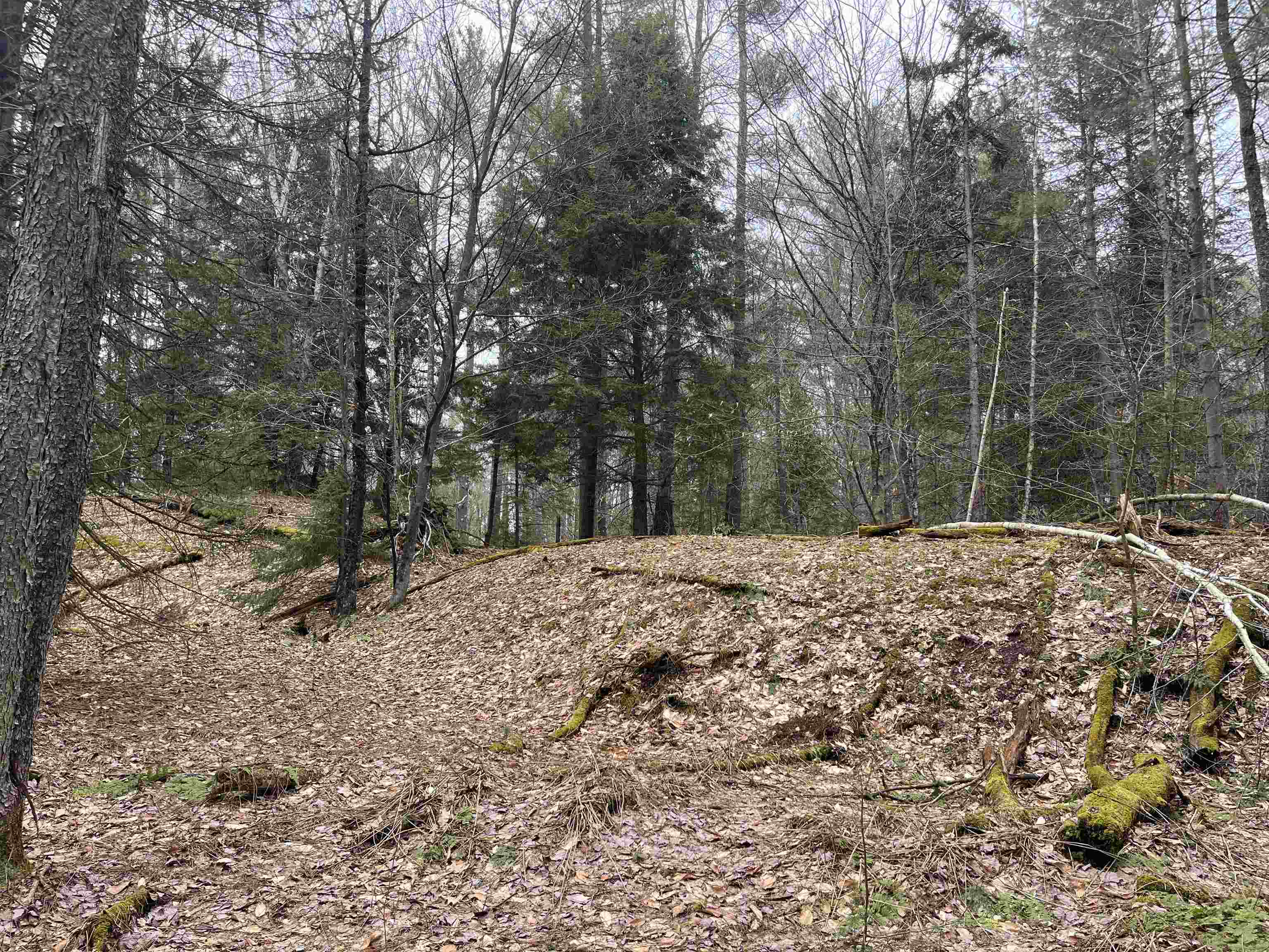 Lot 5 Haley Drive Lot 5