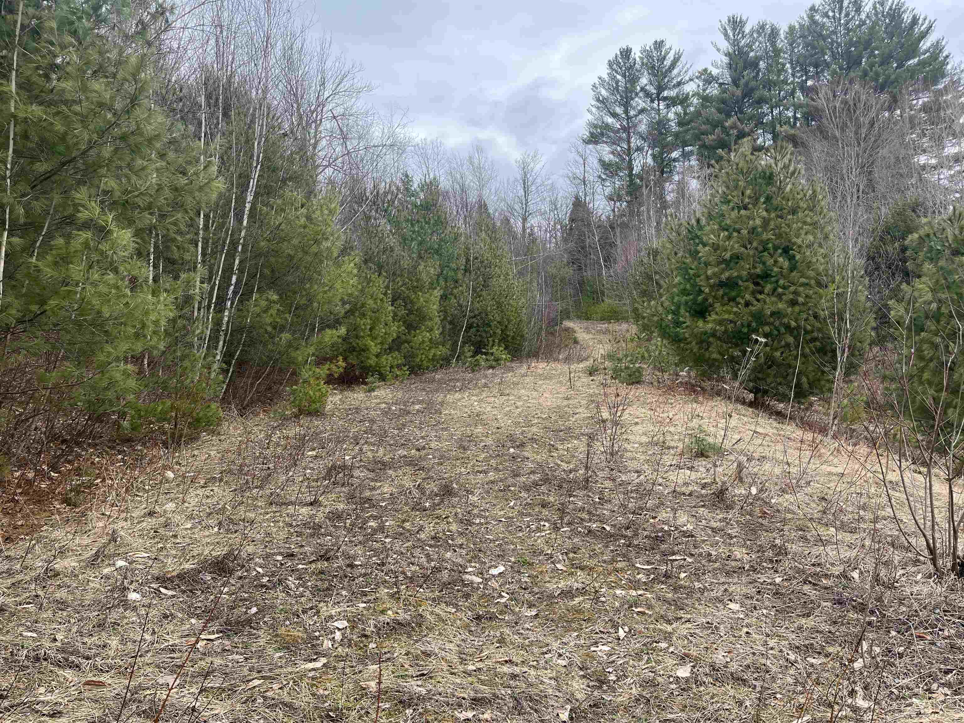 Lot 5 Haley Drive Lot 5