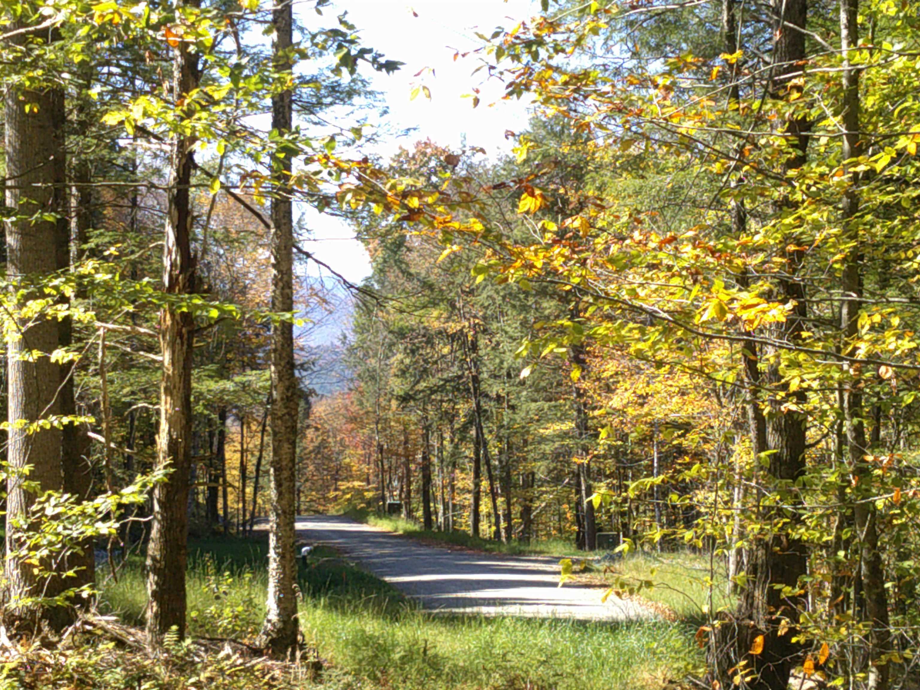 0 Dogwood Springs Road Lot 3