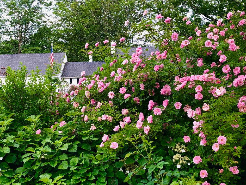 Photo of 2381 East Washington Road, Washington, NH 03280 (MLS # 5083583)