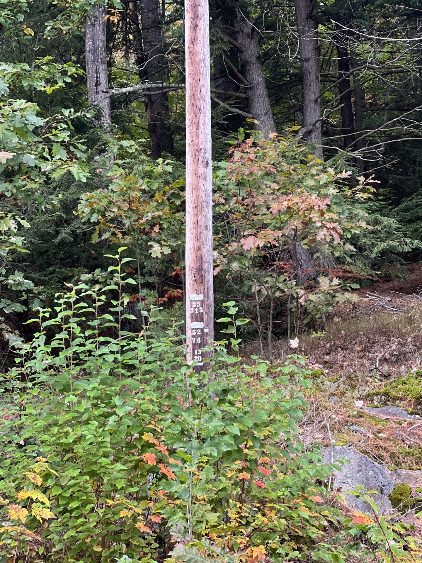 Us Route 3