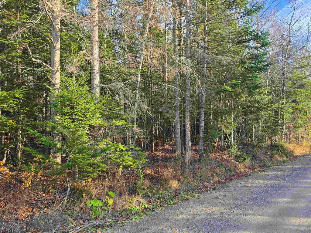 Photo of Hawkins Road, Dummer, NH 03588 (MLS # 5068423)