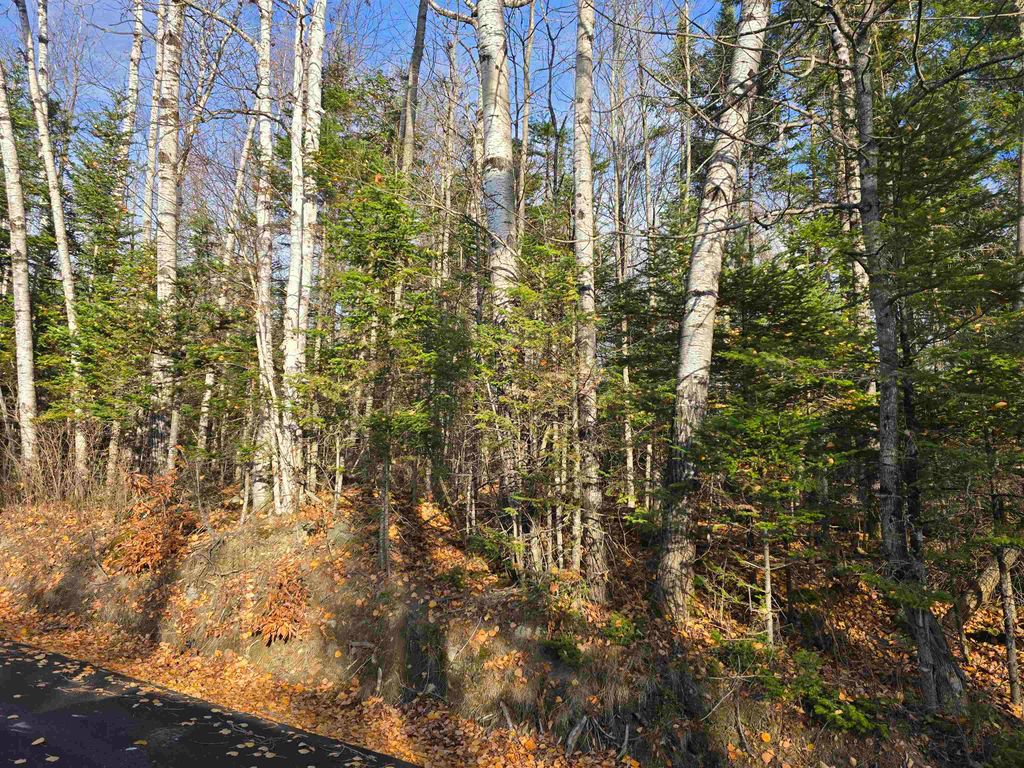 Photo of Hawkins Road, Dummer, NH 03588 (MLS # 5068423)