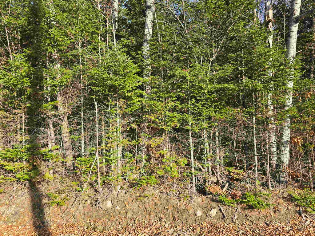 Photo of Hawkins Road, Dummer, NH 03588 (MLS # 5068423)