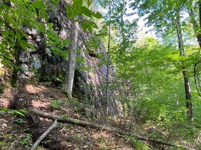 1 Government Woods Road