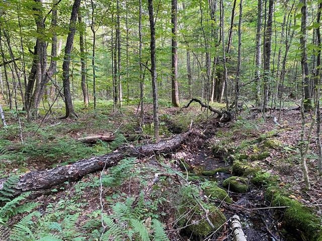 1 Government Woods Road