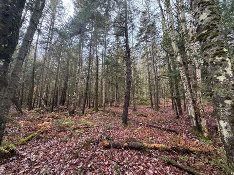 10 Hampshire Hill Road Worcester VT 05682