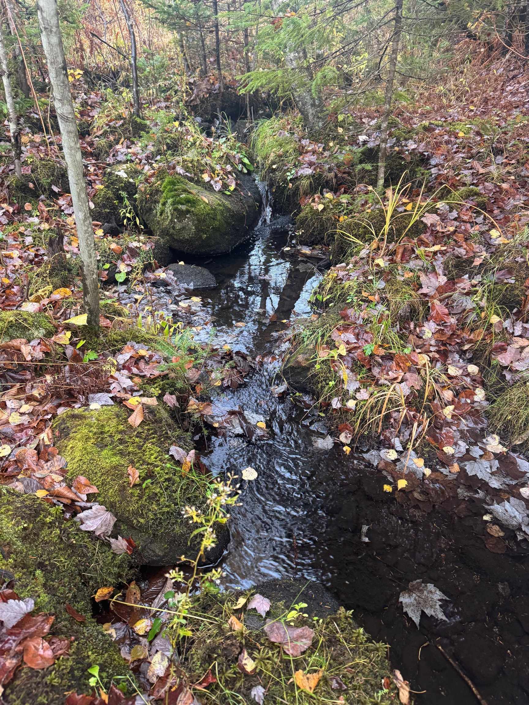 10 Hampshire Hill Road