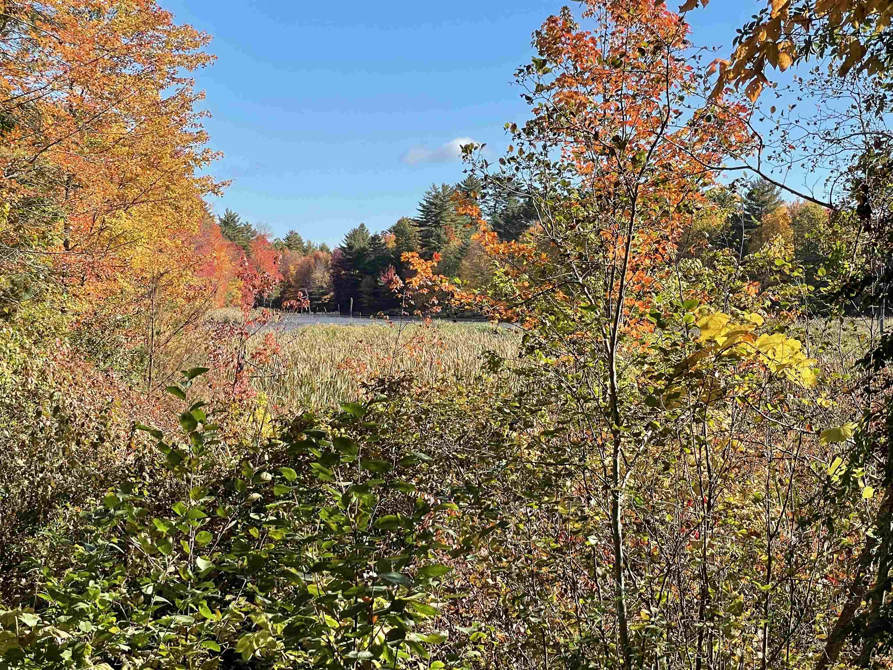 Raymond, New Hampshire 03077, United States, ,Land,Active,141703