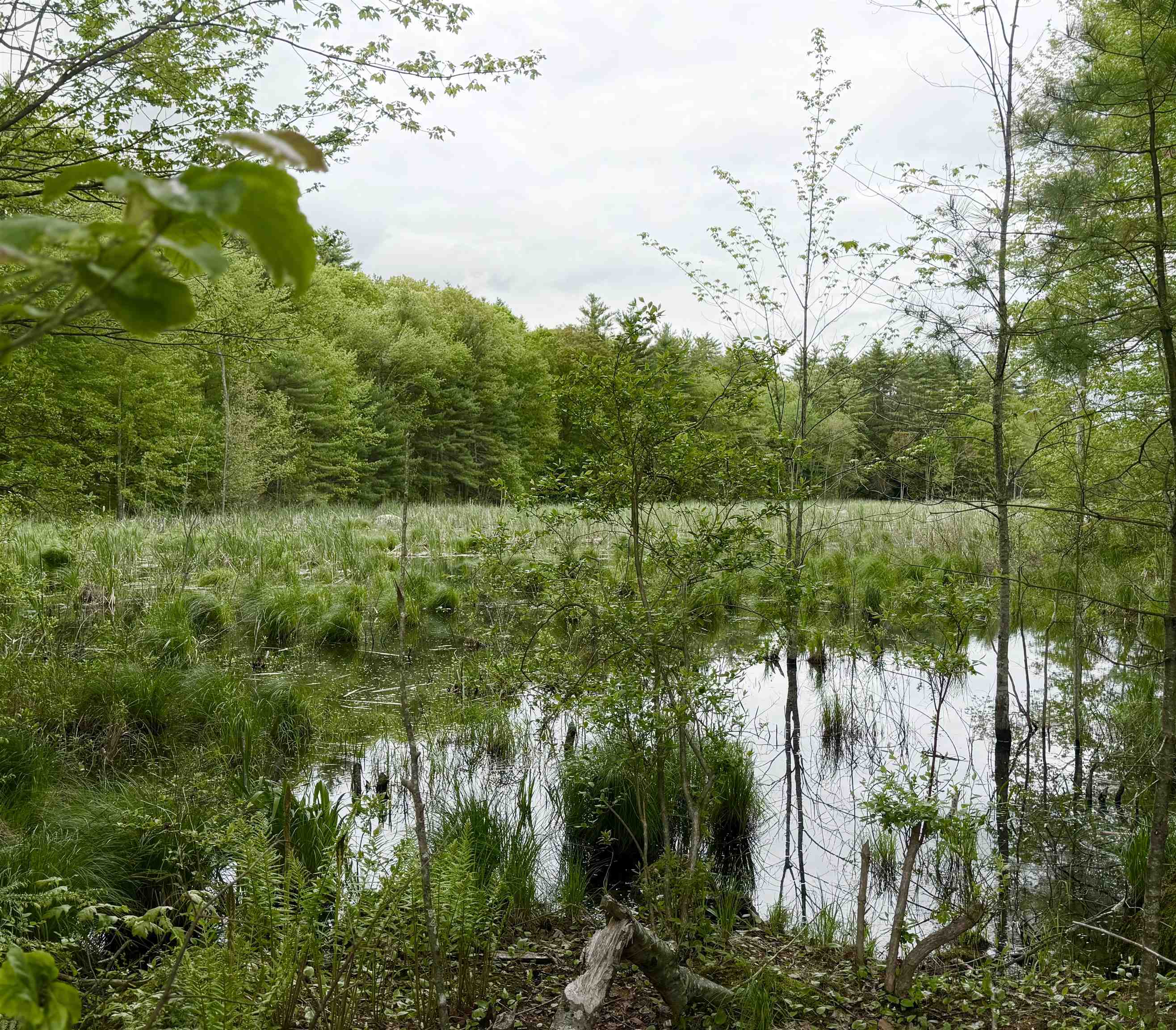 Raymond, New Hampshire 03077, United States, ,Land,Active,141703