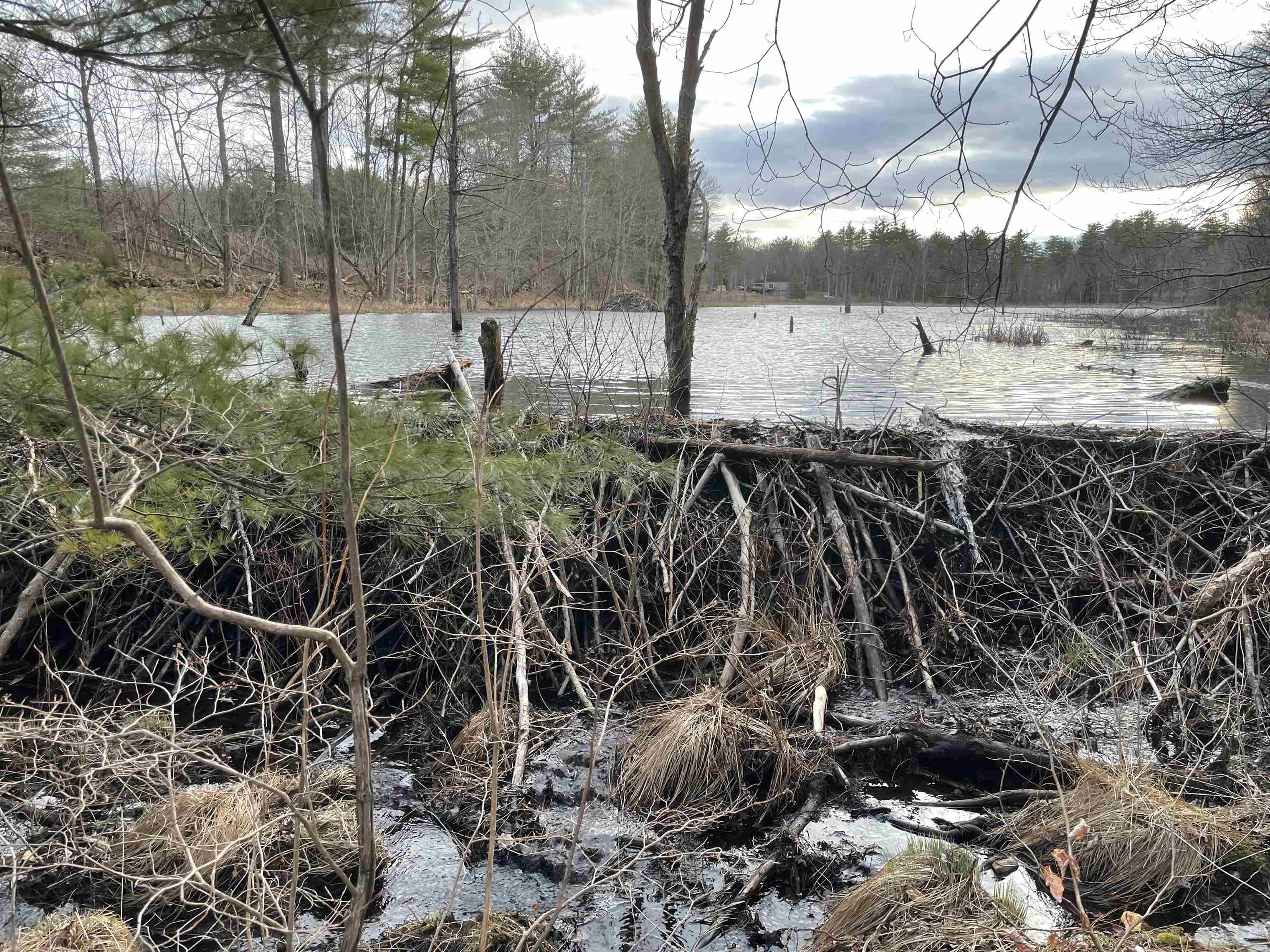 Raymond, New Hampshire 03077, United States, ,Land,Active,141703