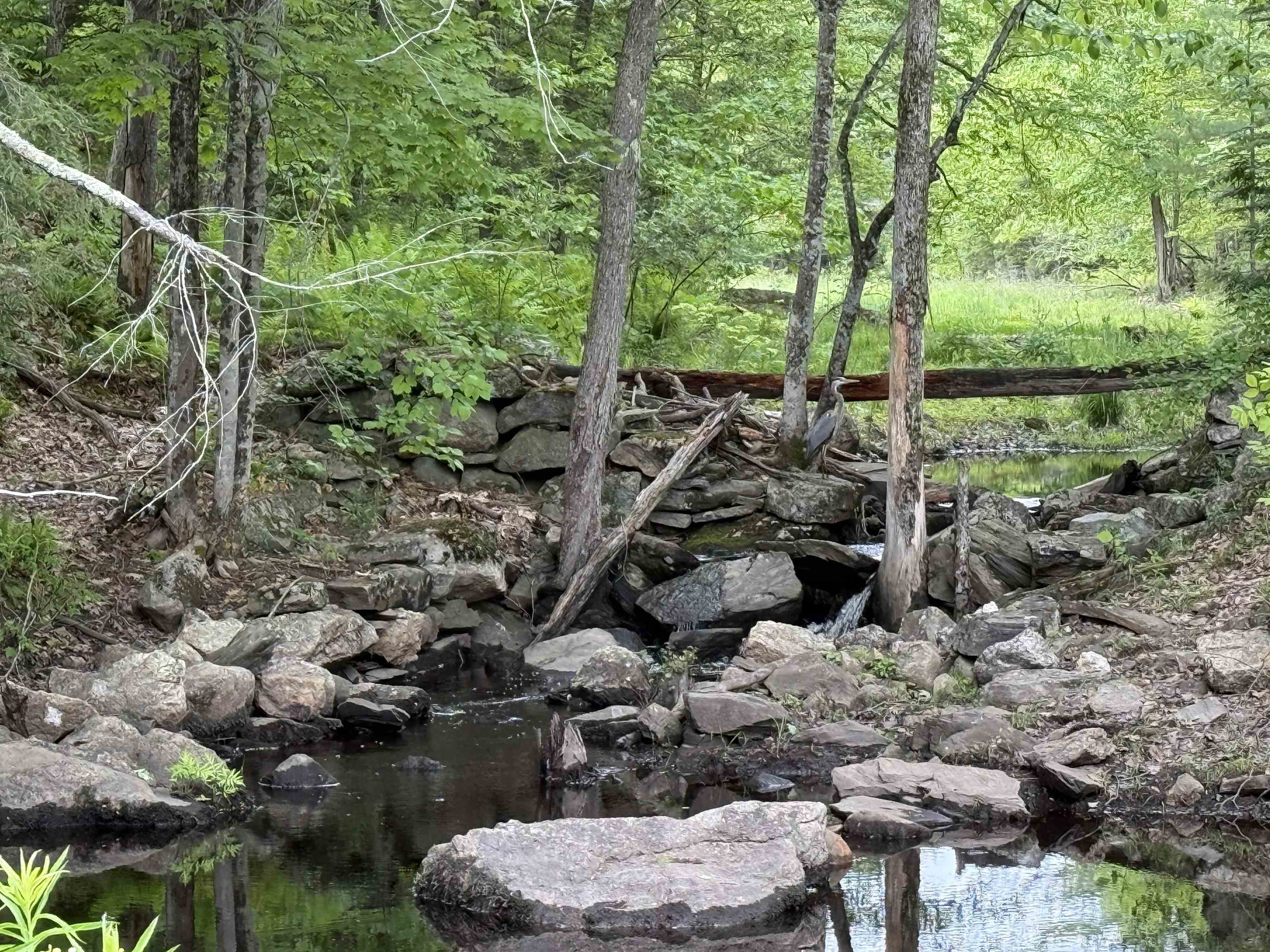 Raymond, New Hampshire 03077, United States, ,Land,Active,141703