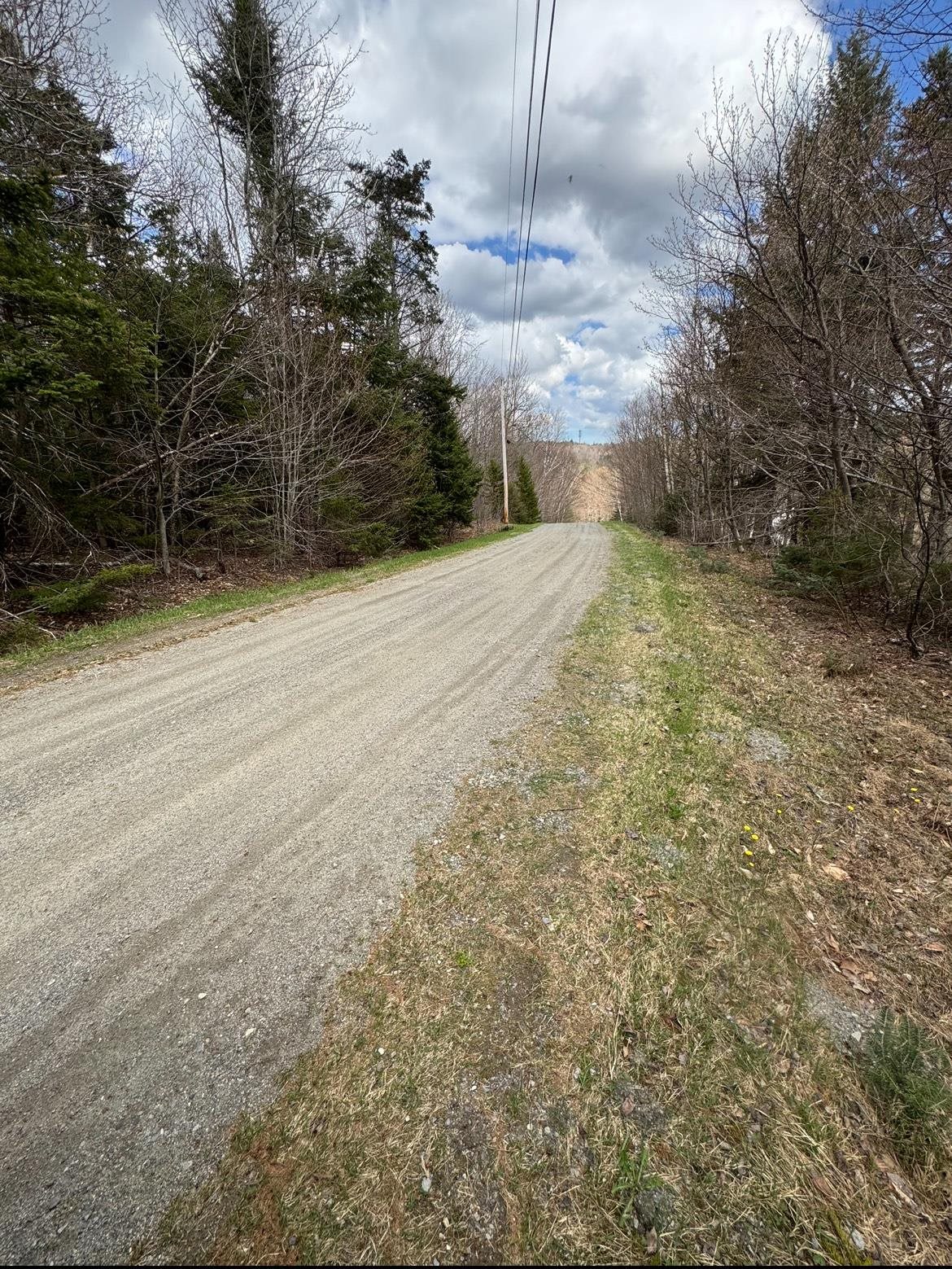 74 Antler Loop