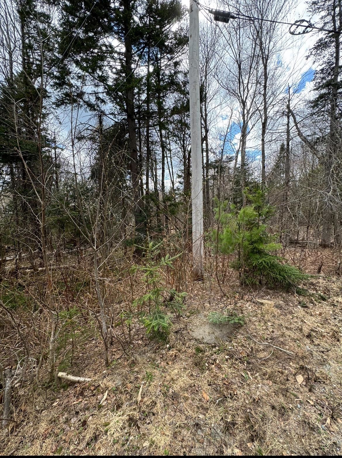 74 Antler Loop