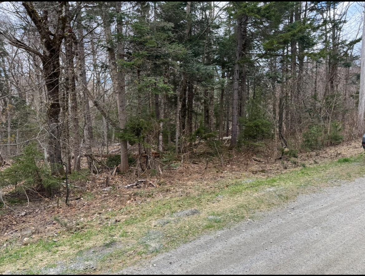 74 Antler Loop