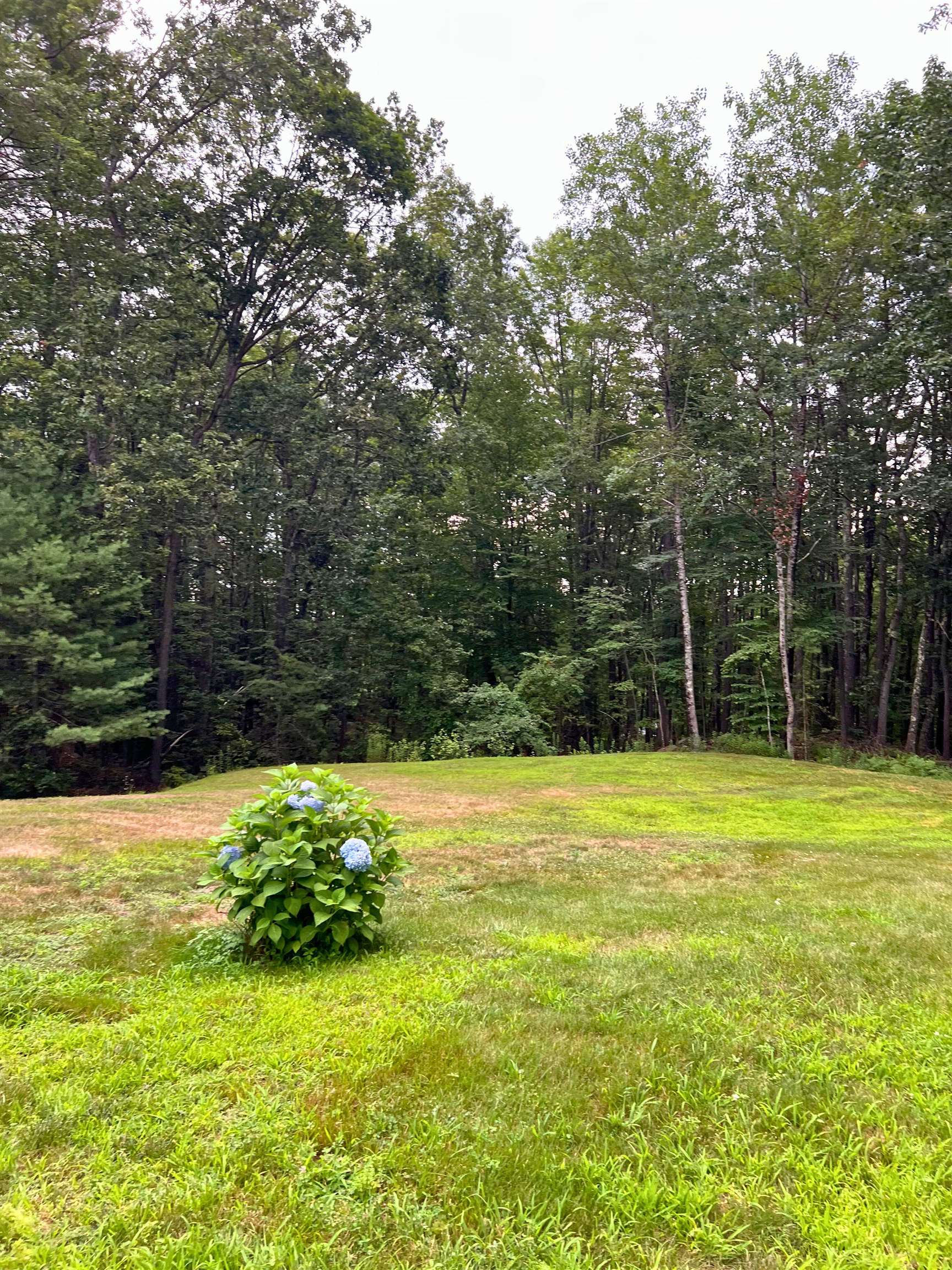 7 Hamilton Way Lot 2