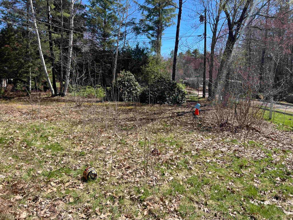Photo of 184 Birch Hill Road, Bridgewater, NH 03222 (MLS # 5085692)