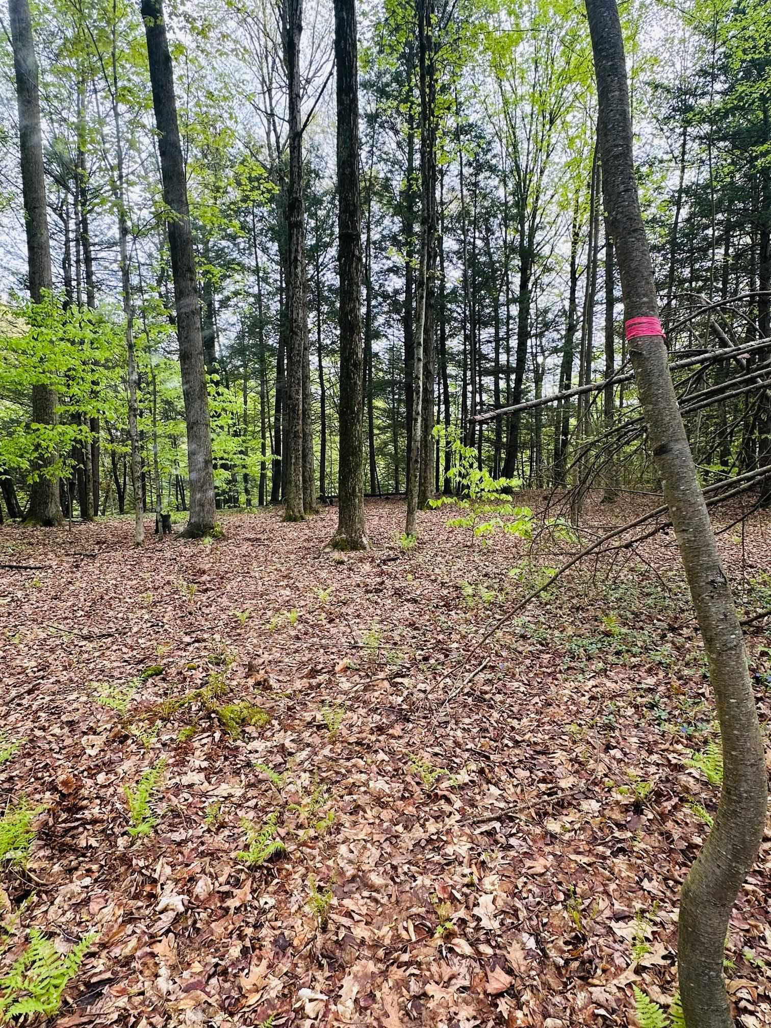 41 Old Depot Road